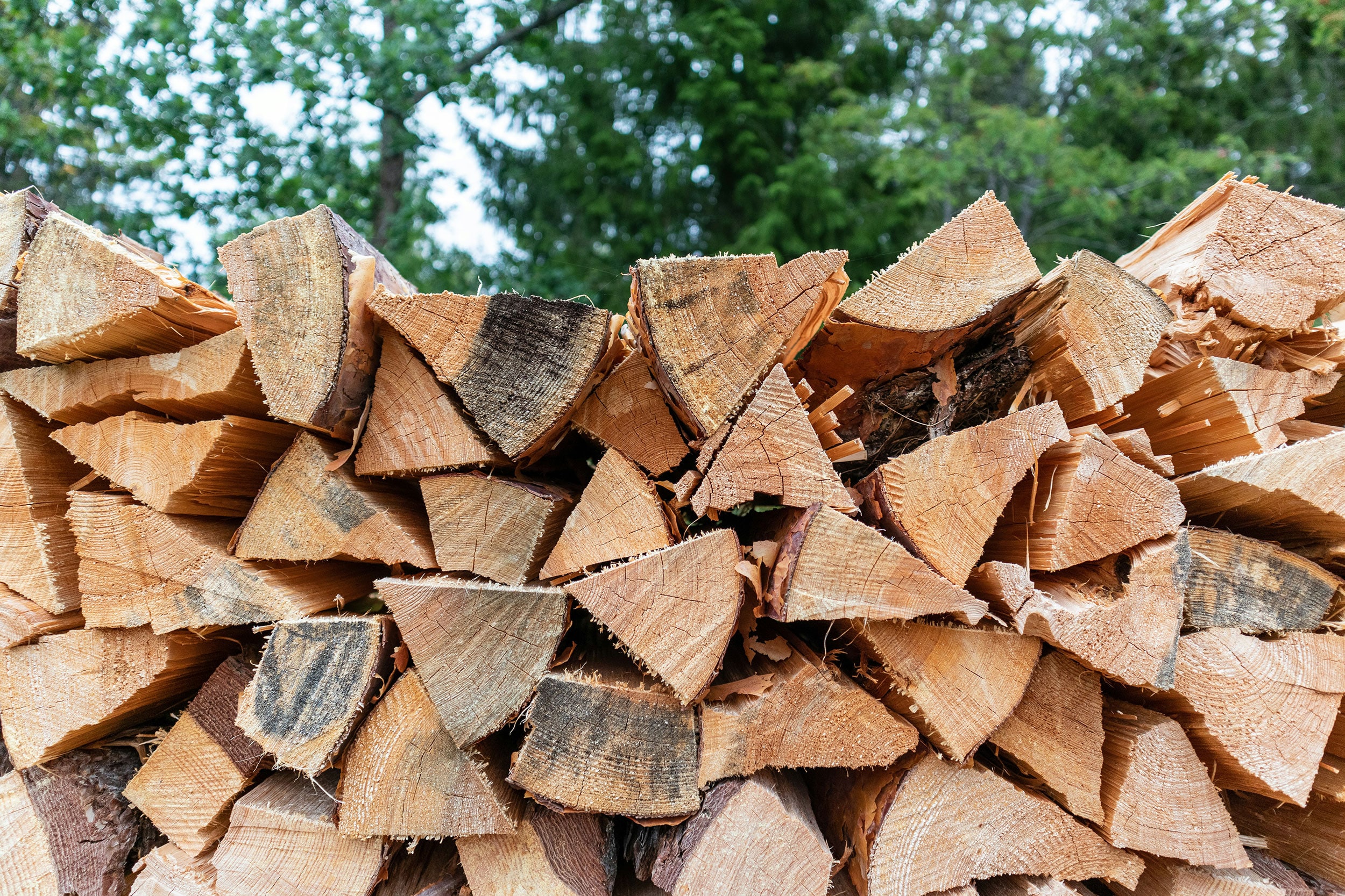 Firewood_WEB
